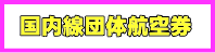 国内線団体航空券